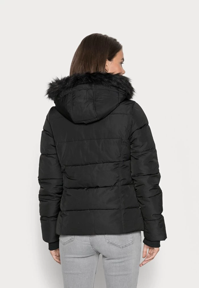 Women's Anna Field SHORT PUFFER WITH HOOD Jackets Black | TIMZSXN-80 - Image 3